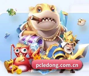 乐动体育的故事