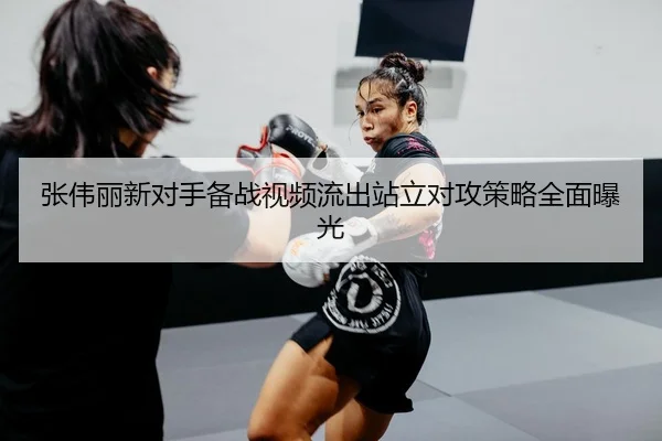 张伟丽新对手备战视频流出站立对攻策略全面曝光
